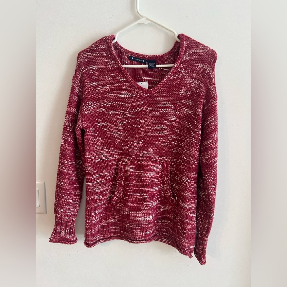 Architect Women’s Sweater Petite Medium Marled Burgundy Knit V-Neck Pullover NWT